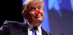 Отнеситесь с юмором к предвыборным обидам Трампа на Украину – Пионтковский 
