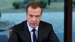 Медведев назвал Навального и его товарищей «политическими проходимцами»