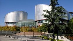 Почему ЕСПЧ не увидел политической составляющей в деле братьев Навальных?