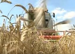 Украина оказалась самой бедной в Европе по ВВП на душу населения