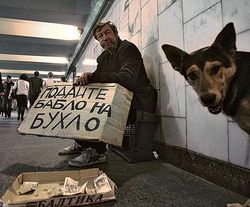 Магадан, Еврейская и Ненецкая АО названы самыми «пьющими» регионами РФ