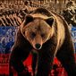 Следующей жертвой агрессии РФ может стать Беларусь