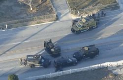 Боевики ИГ взяли на себя ответственность за теракт в Калифорнии (ЯН)