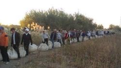 И вновь о деньгах за сбор хлопка в Узбекистане