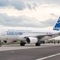 Во Франции разбился пассажирский самолет Airbus A320