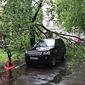 Ураган в Москве забрал жизни 11 людей