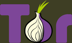Анонимный браузер Tor