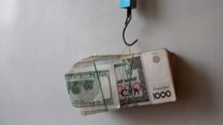 Узбекистан в лидерах по росту курса доллара в стране
