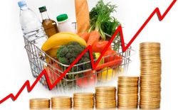 Зачем официальная статистика занижает уровень инфляции в России?