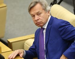 Пушков начал в Twitter опрос по действиям Земфиры