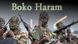 Из-за террористов «Боко Харам» президентские выборы в Нигерии перенесли