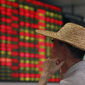 Фондовый рынок Китая во вторник обвалился на 6,1 процента