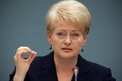 Литва готовит персональные санкции против граждан РФ из-за Украины
