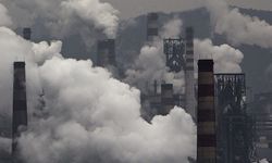 Людиактивно насыщают воздух диоксидом углерода