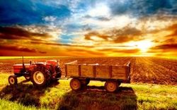Агропромышленный комплекс не вытянет экономику Украины – эксперты