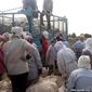 Еще один несчастный случай, связанный с хлопкоуборочной кампанией в Узбекистане