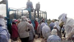 Хронология: 13 жертв хлопкового фронта в Узбекистане 