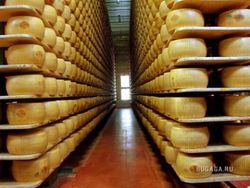 Россия разрешила поставки молочной продукции из Украины