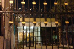 Гульнара Каримова объяснила в Твиттере, что она делала в полиции