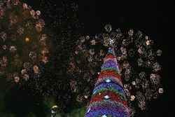 Новогоднюю елку в центре Баку уничтожили исламские радикалы