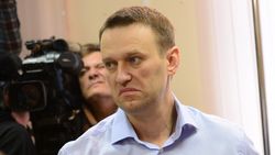 Навального обвинили в распиле средств "РосПила"