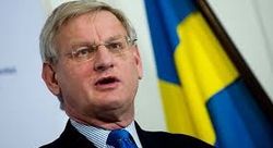 Шведский экс-министр рассказал о российской армии на Донбассе