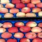 Беларусь прекратит поставку в Россию санкционных продуктов