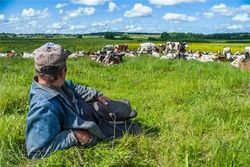 Бизнесмены назвали причины бегства капиталов из Украины