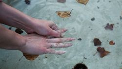 Американские кинокритики признали фильм «Прощай, речь» лучшим в 2014 году