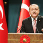 Эрдоган приостановит действие Европейской конвенции по правам человека