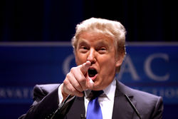 Американские эксперты не верят, что Трамп признает Крым российским 