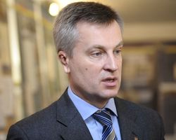 Глава СБУ рассказал о бандах мародеров в зоне АТО и их покровителях