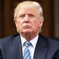 Республиканцы нещадно критикуют Трампа