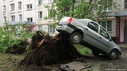 Последствия урагана в Москве
