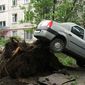 Последствия урагана в Москве