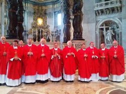 Папа Римский Франциск молится за Украину и Надежду Савченко 