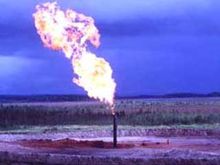 Узбекистан экспортирует 20% природного газа, добываемого в стране - фото 1
