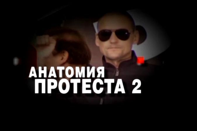 Анатомия протеста-2.Готовьте вилку для снятия лапши с ушей.Её будет много. 1