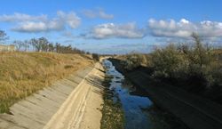 В Крыму заговорили об угрозе пересыхания рыбных водоемов 