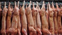 ЕС намерен оштрафовать Россию на 1,4 млрд. евро за свиней