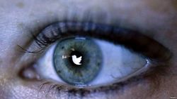 Сайт Hamilton-68 начал отслеживать российскую пропаганду в Twitter 