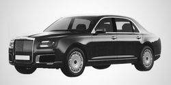 Представитель семейства "Кортеж"