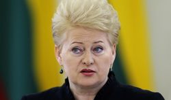 На востоке Украины идет борьба за мир в Европе – Грибаускайте