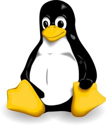 IBM инвестирует в развитие Linux миллиард долларов США