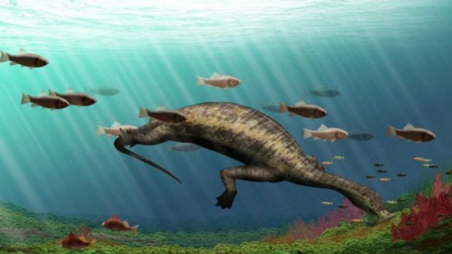 Ученые впервые обнаружили останки морского динозавра-вегетарианца