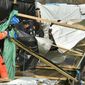 Терпение ЕС на исходе: во Франции жестко снесли лагерь беженцев