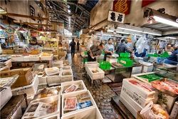 Тунца продали по 209 долларов за килограмм на первых оптовых торгах в Токио