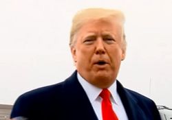 Названа причина срыва встречи Путина с Трампом в Париже