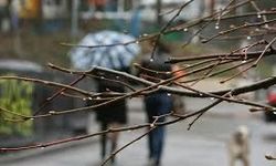 Украину снова накроет холод, ожидаются заморозки