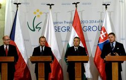 Чехия, Польша, Словакия и Венгрия готовы открыть границы для украинцев